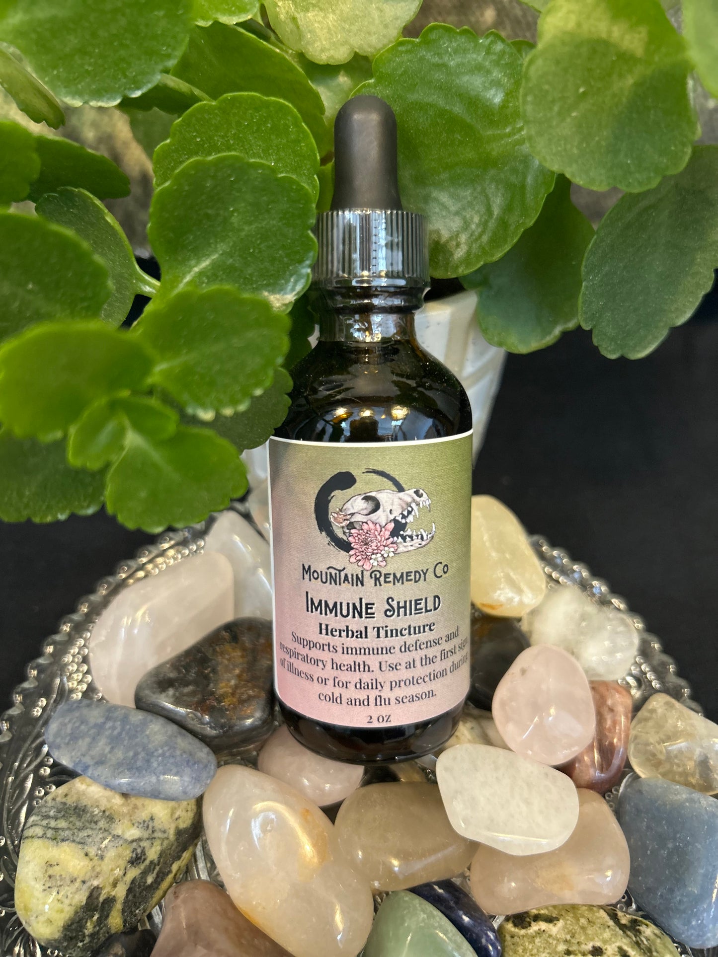 Immune Shield Herbal Tincture - 2 oz